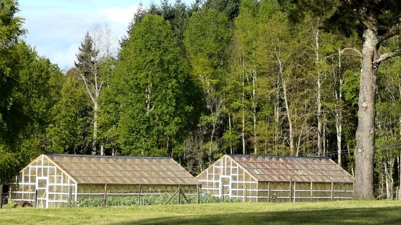 Das Dorf Hotel Pucón Екстериор снимка